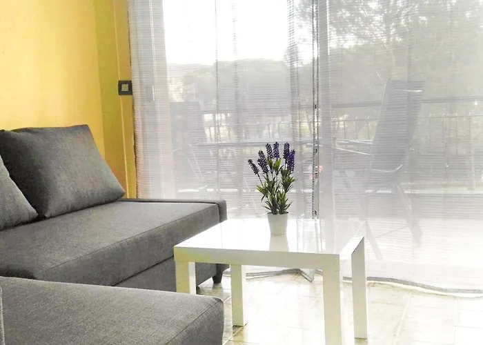 Cosette Rancho Suizo 8 1 1