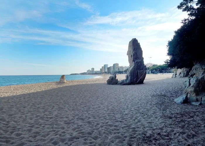 Apartmán Cosette Rancho Suizo 8 1 1 *