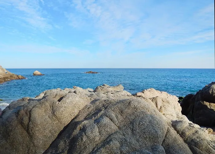 Cosette Rancho Suizo 8 1 1 Platja d'Aro