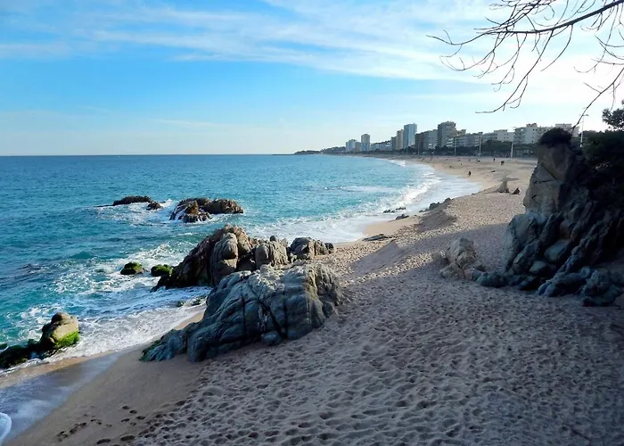 Cosette Rancho Suizo 8 1 1 * 普拉加德阿罗