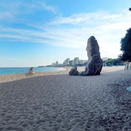 Апартаменты Cosette Rancho Suizo 8 1 1 *